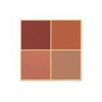 پالت سایه 4 رنگ گلدن رز Golden Rose رنگ 05 Red Brick - تصویر 5