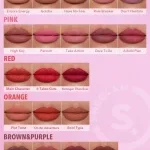رژ لب براق شیگلم Sheglam رنگ Rent Free - تصویر 6